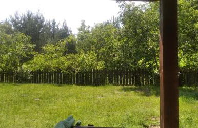 Białowieża Spanie na sianie Puszcza Białowieska - Foto 9