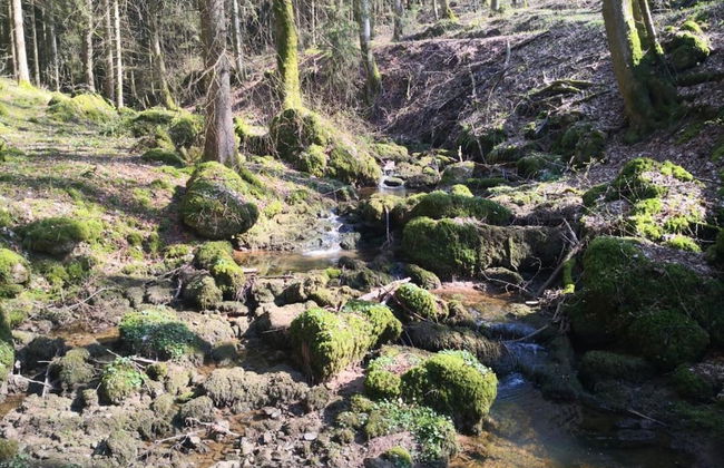 Chalet in Reinskopf With Fireplace and Balcony - Photo 29