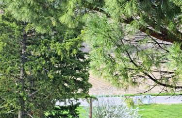 Torre Colombaia - Foto 38