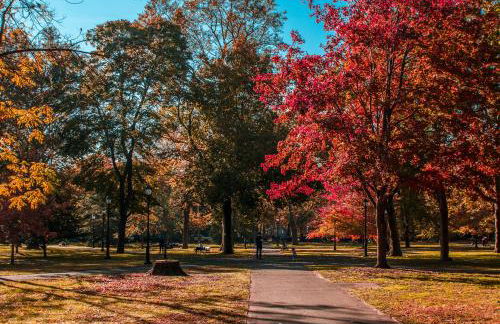 Gorgeous 1BR Wooster Sq. apt. - wshr/dryr, parking - Foto 28