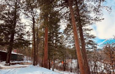 The Shiloh House - Foto 59