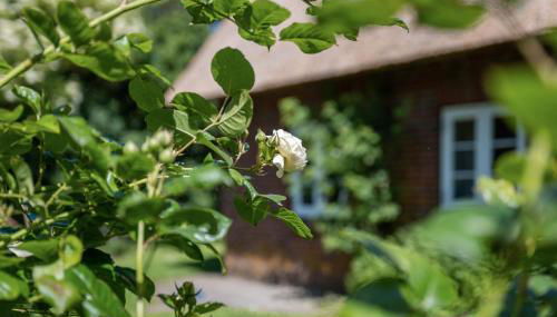 Fewo Silke Dethlefsen - Foto 3