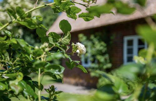 Fewo Silke Dethlefsen - Foto 3