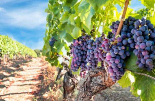 Valley Vista-Mins to SkylineDrive-Hot Tub-King, Queen Beds - Foto 19