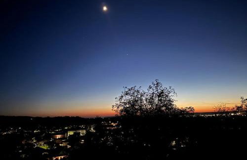 Stadthaus im Altstadtkern mit Blick auf Dingolfinger Münster - Foto 27
