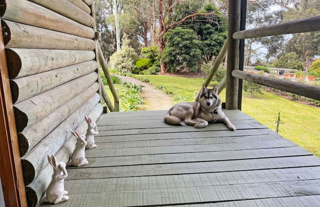 Groovy Log House Lorne Ocean View Log House Pet Friendly Freshly Renovated - Photo 18