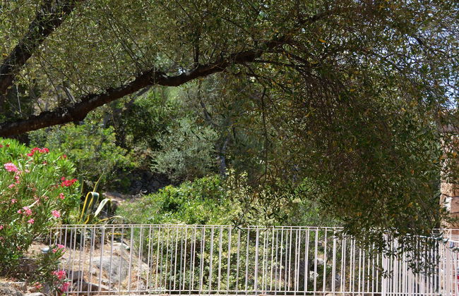 Résidence Alba Rossa - Foto 32