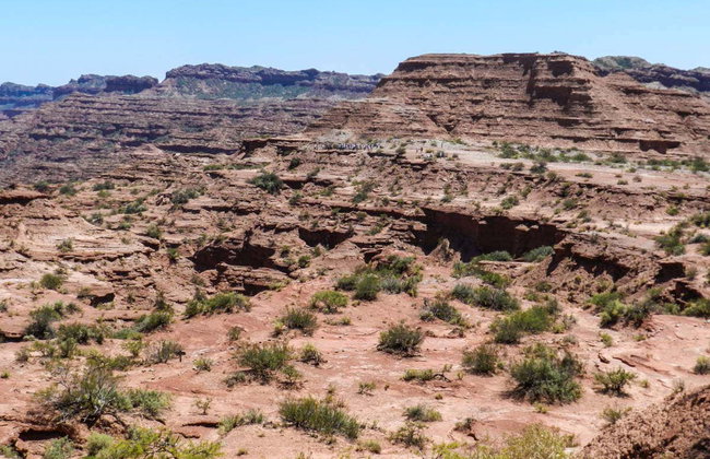 Excursión al Parque Nacional Sierra de las Quijadas - Foto 4