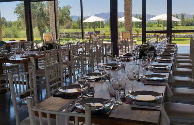 Tour delle vigne e delle cantine di San Juan - Foto 4