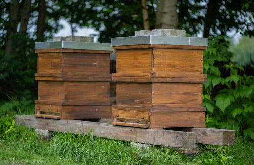 Huus de Freese 35224 - Foto 6