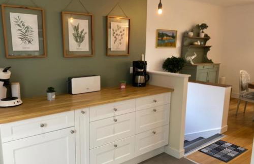 Charmante maison avec jardin en face du parc, proche commerces et attractions touristiques - FR-1-489-333 - Foto 17