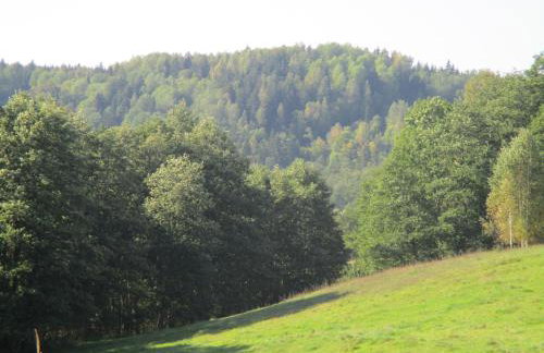 Dworek Telimena - Foto 33