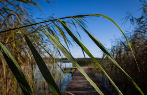 SASKI ZAKĄTEK, WAKACJE W BAJKOWYM DOMKU!!! MAZURY, SAUNA, JEZiORO, POMOST, - Foto 59