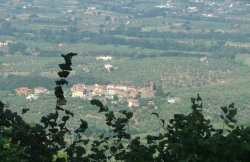 Podere Calistri - Foto 33
