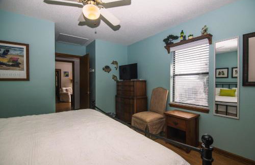 Green Parrot - Foto 18