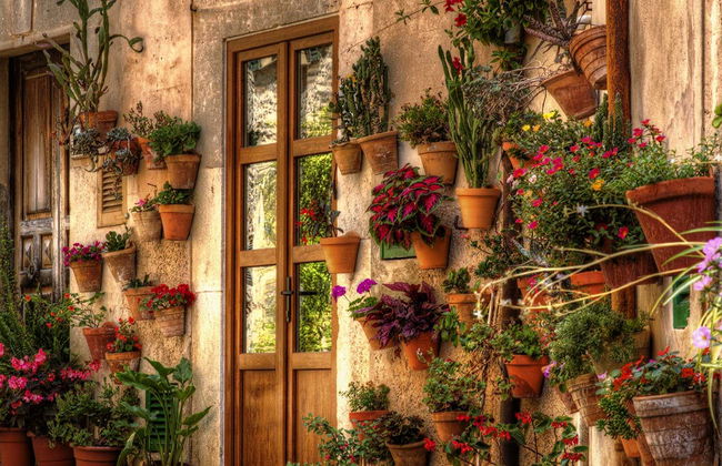 Excursión a Palma y Valldemosa - Foto 3