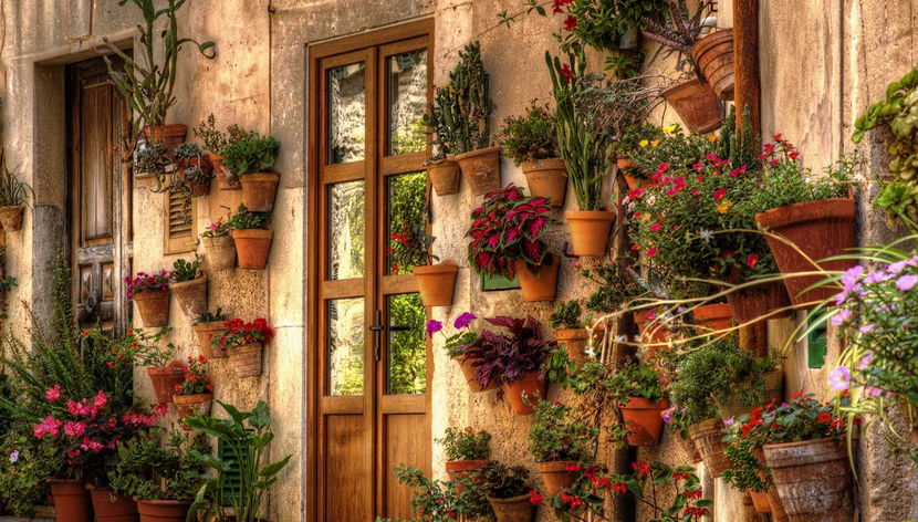 Palma + Valldemosa Excursion