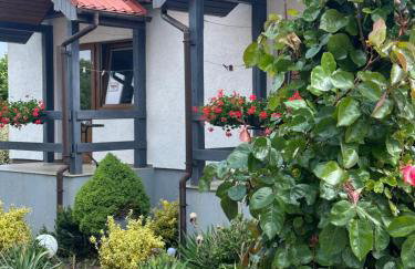 Ostoja Konarzewo - Foto 39