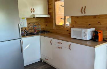 Cabanon au bord du petit Rhône - Foto 10