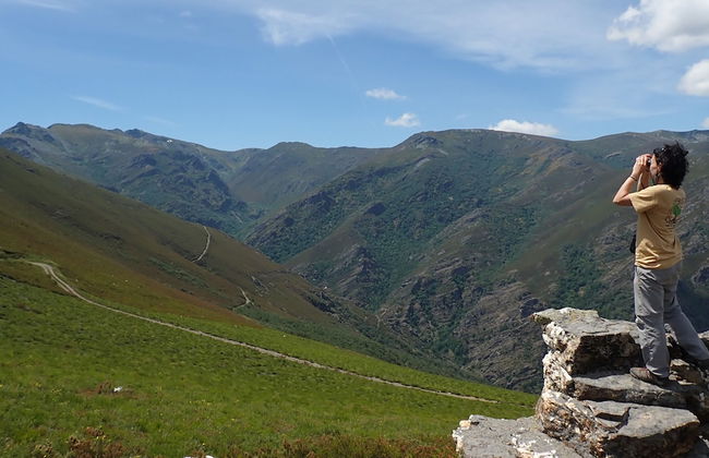 Eco dos Teixos - Foto 16