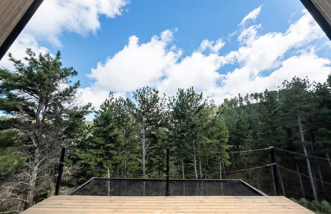 Chales Naturale - Campos do Jordão - CNA - Foto 30