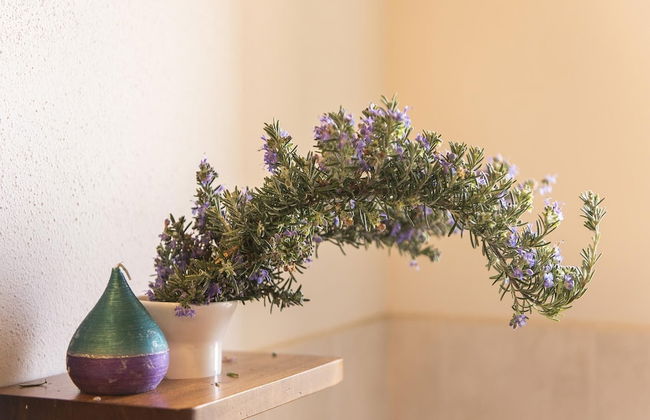 Country House il Ciliegio - Foto 61