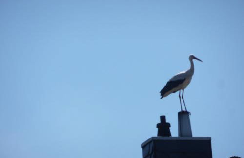 Hopfenkammer Schorfheide - Foto 18