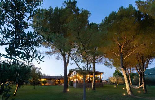 Santa Maria degli Ancillotti - Foto 20