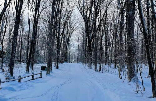 Cozy Log Cabin Near Ski Area and Lake including Hot Tub - Foto 27