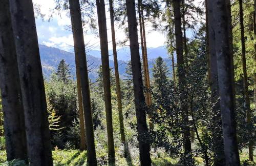 Ferienwohnung Leibgeding - Foto 8