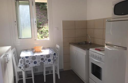 Les Asphodèles - Foto 30