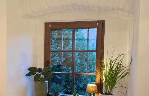 Ferienwohnung Burg Hausen - Foto 67