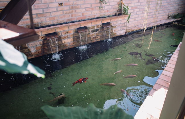 Recanto das Videiras - container - Foto 32