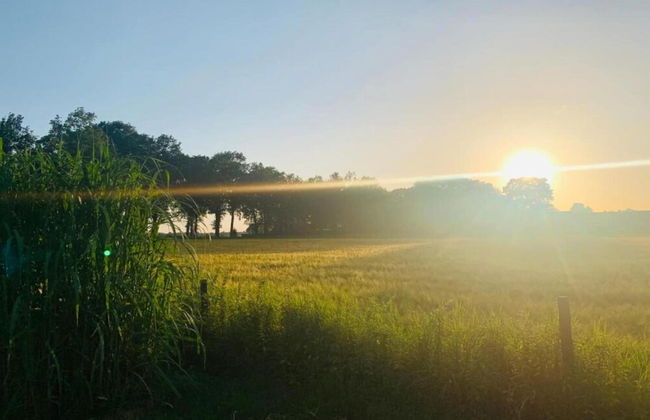 Stay at This Beautiful Accommodation in De Kiel - Photo 38