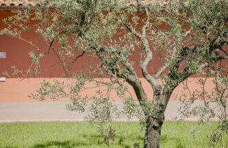 Borgo Sant'Anna - Photo 8