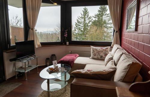 FeWo Harzer Weitblick, bis 2 Hunde Willkommen, W-Lan, 2x Smart TV, DTV 4 Sterne, 4 Pfoten - Foto 7