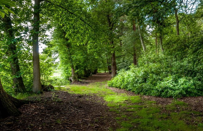 Whitmoor Farm - Foto 52