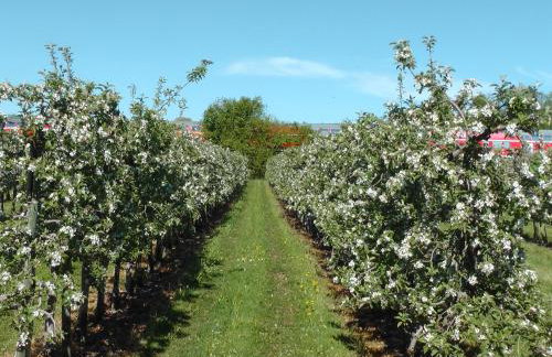 Maisonette am See - Foto 12