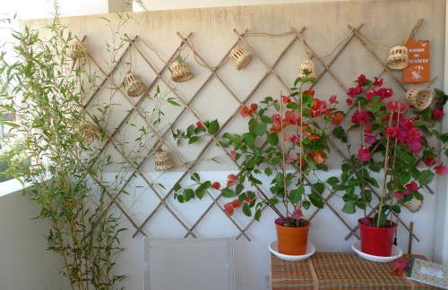 Nidu Accogliente in Balagna - Foto 39