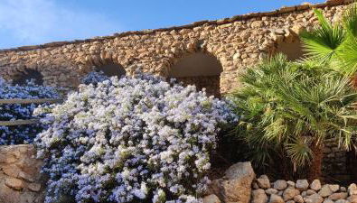 Off Grid - Puerto Mika - casa Lola - Foto 3