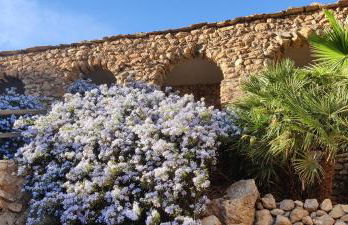 Off Grid - Puerto Mika - casa Lola - Foto 3