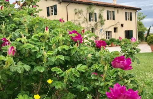 B&B Cà Bianca dell'Abbadessa - Foto 28