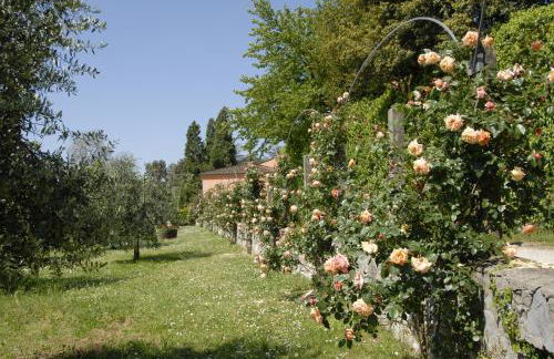 Agriturismo La Chiusa di Nanni - Foto 22