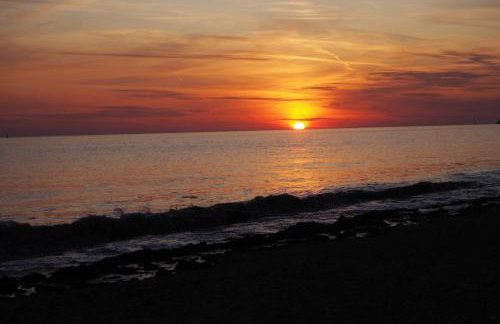 Le bois aux Ecureuils - Foto 19