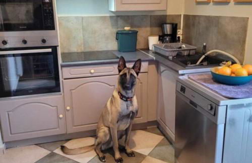 Les Malous - Foto 22