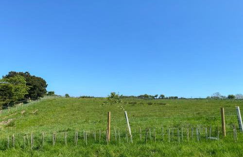 Cart Shed - Uk41245 - Foto 16