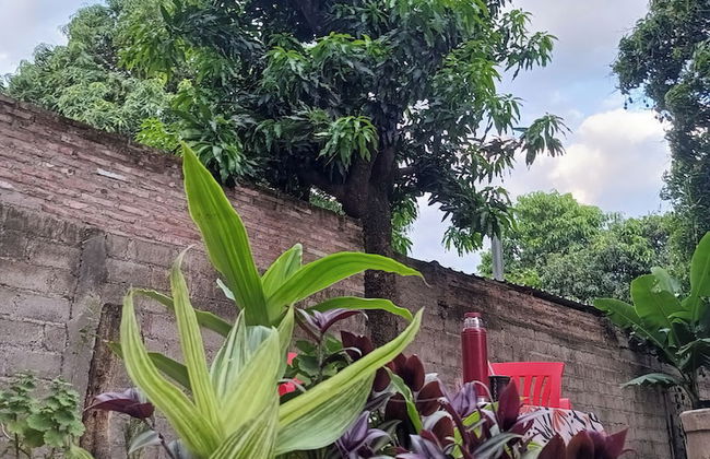 Entre Mangos y Tucanes - Foto 10