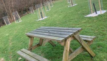 Brook Lodge - Photo 3