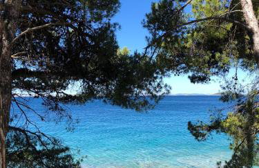 Lili Murter - Foto 29