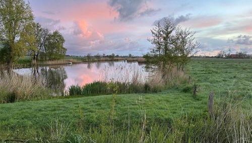 Ferienhaus Haus Nordlicht - Foto 5